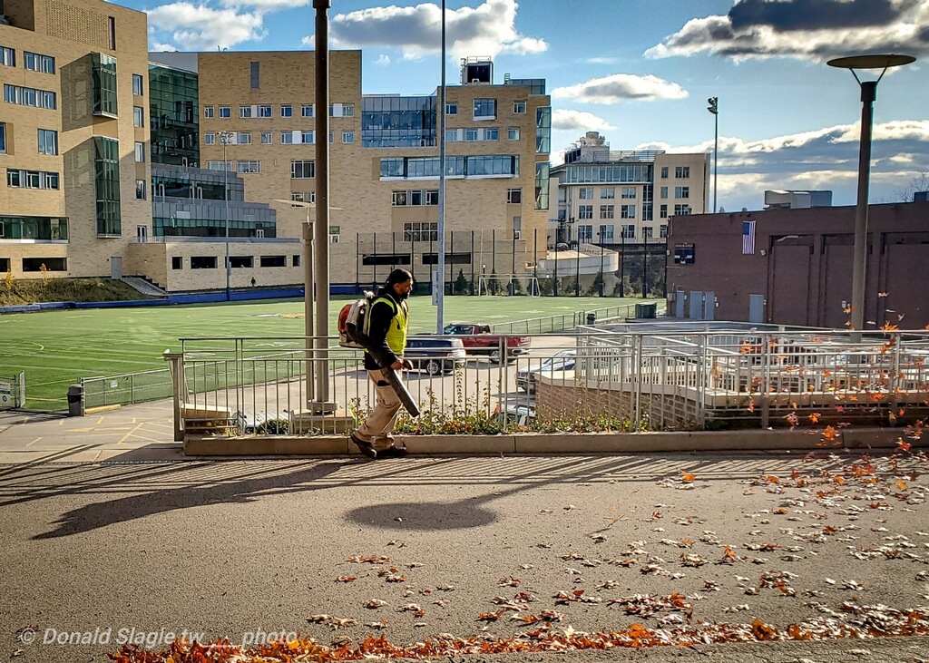 leaf removal