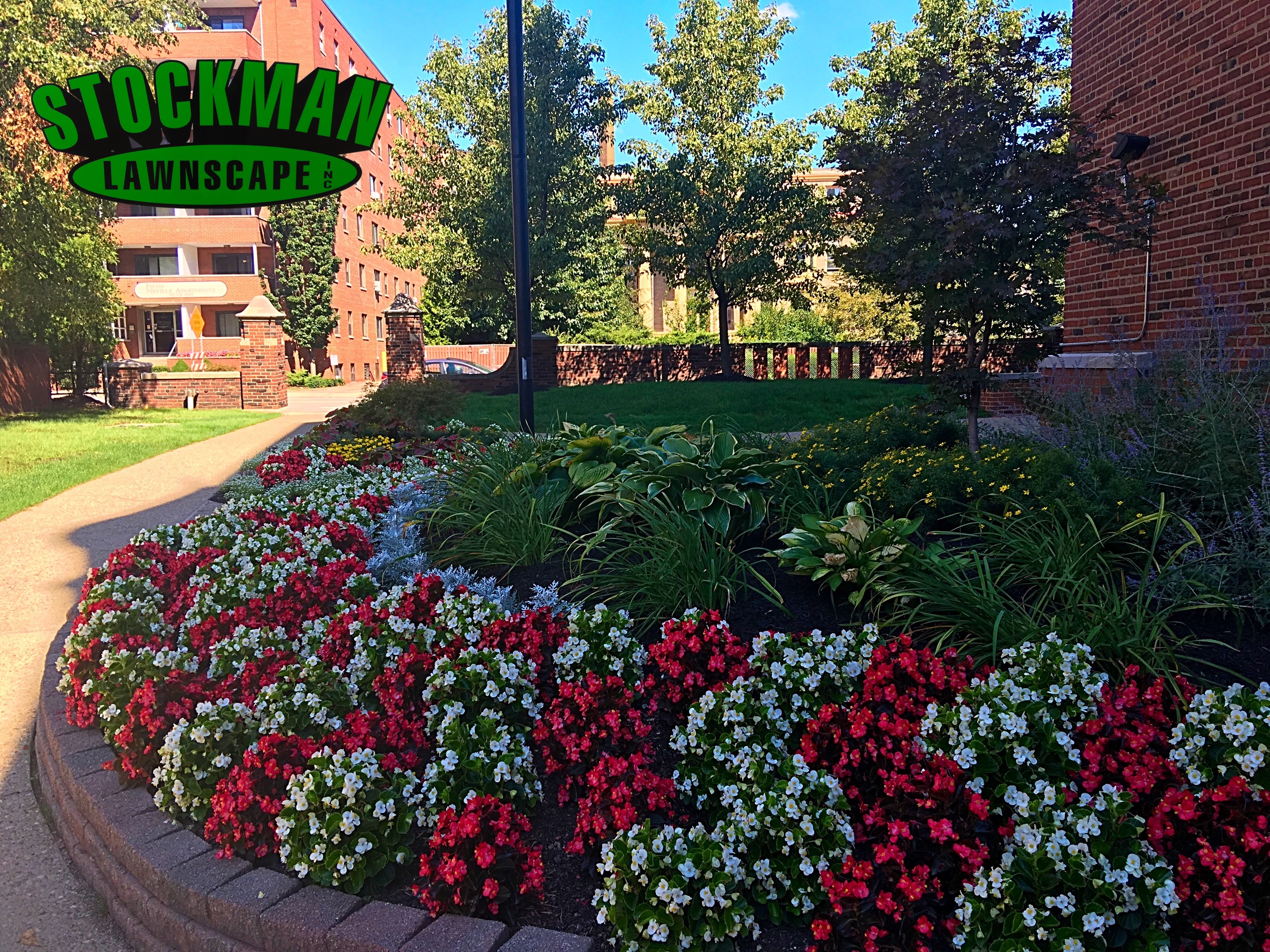 flowers building with colorful flowers