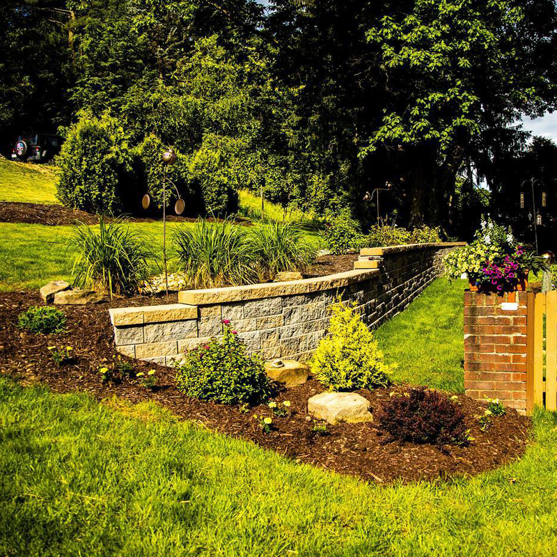 Brick retaining wall with small shrubs in brown mulch