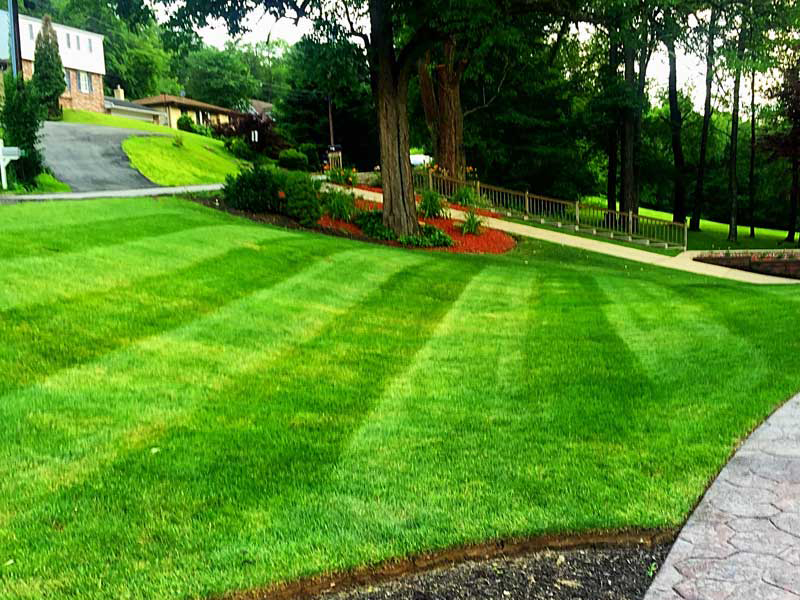 Grass mown in a striped design