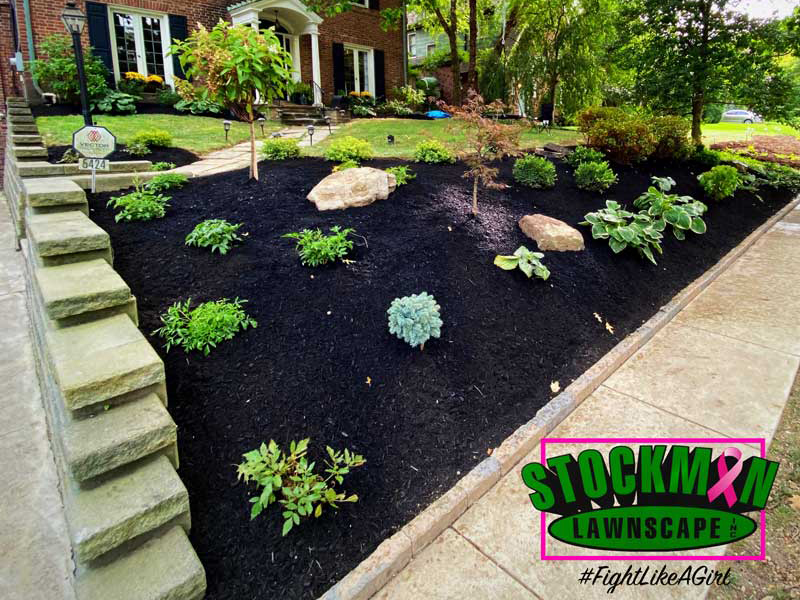 Front yard filled with plants and black bark