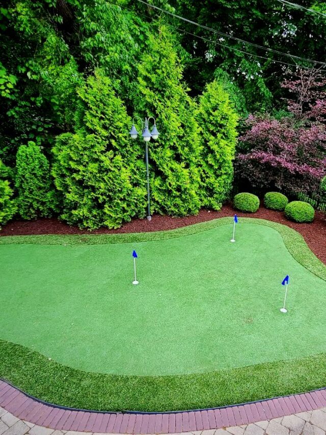 5 Ways You Can Maintenance Your Turf