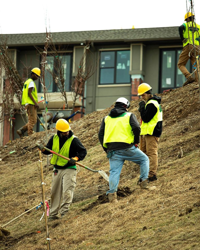 men putting down straw on hillside