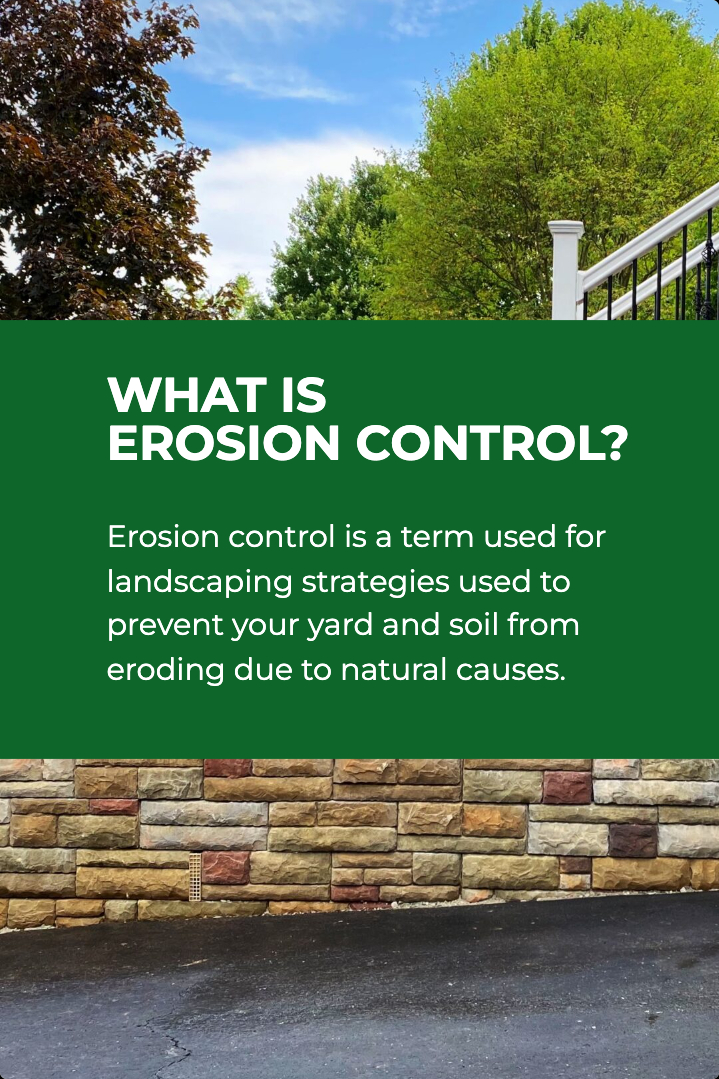 web-stories-page-template-273722