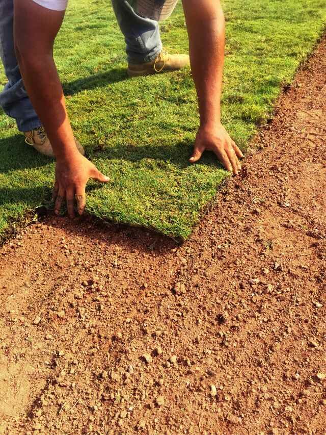 Why Right Now Is The Perfect Time For Sod Installation