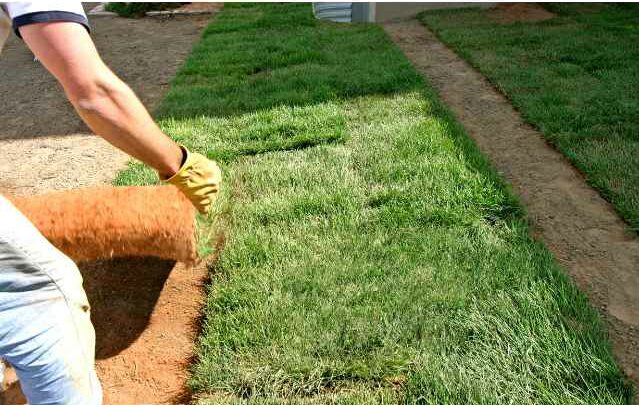 Outdoor Landscaping Projects: Sod Installation
