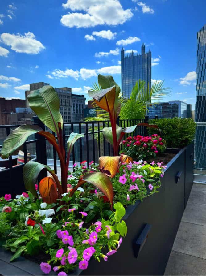Picture1 Planting Florals- Stockman Lawnscape Inc. Services