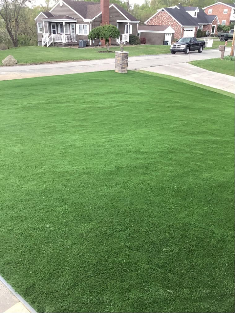 Picture4 new lawn installation