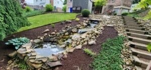 grass-free yard ideas