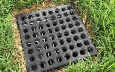 Our Guide on How to Fix Drainage Issues in Your Yard
