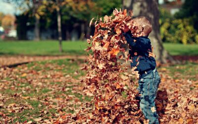Tips for Fall Lawn Maintenance in Pittsburgh