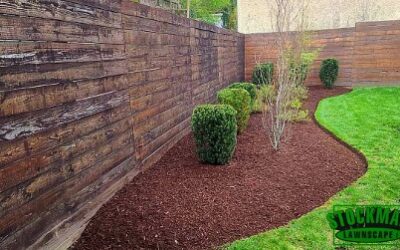Spring Cleanup Check: Prepare Your Yard for the Season Ahead