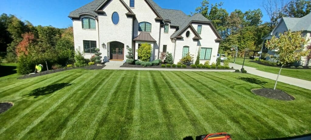spring cleanup checklist