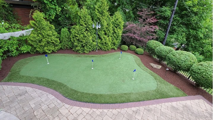 seed vs. artificial turf
