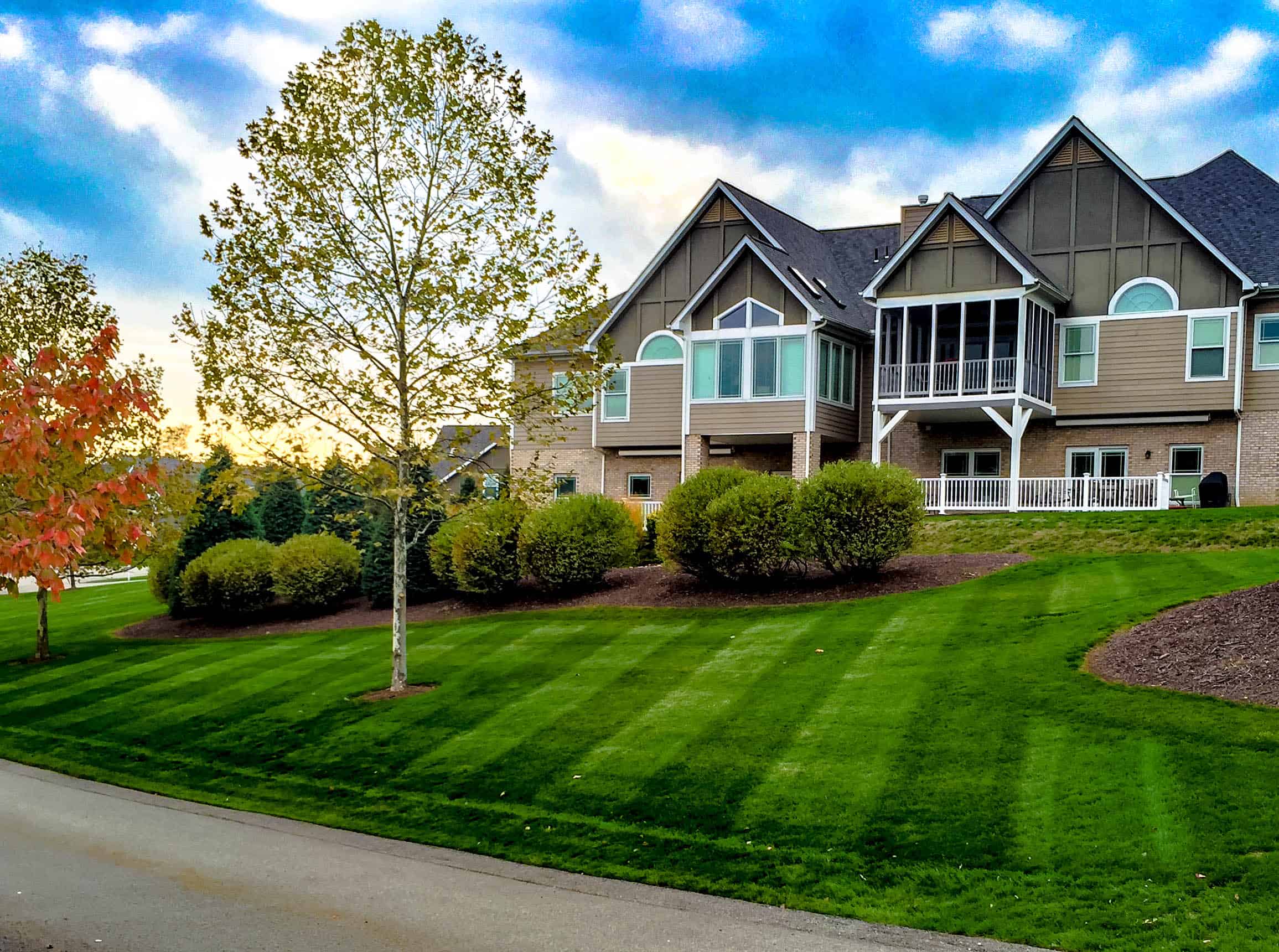 seed vs. artificial turf